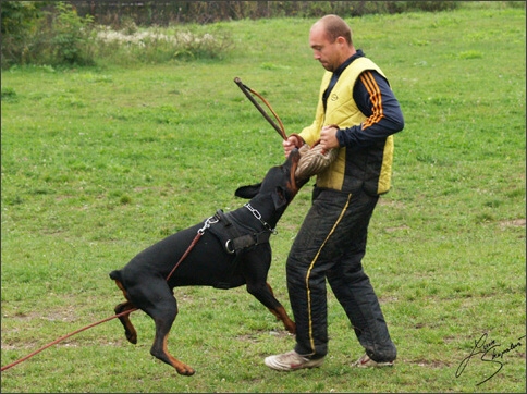 Training in Prague 10/2007